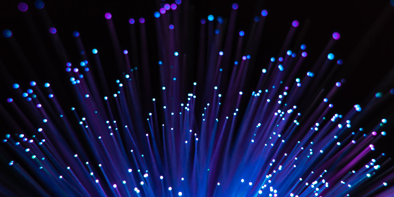 Fiber crews building network